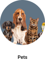 RSW-WINTER-JUNE-PETS-25